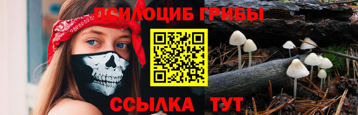 Псилоцибиновые грибы GOLDEN TEACHER Костомукша